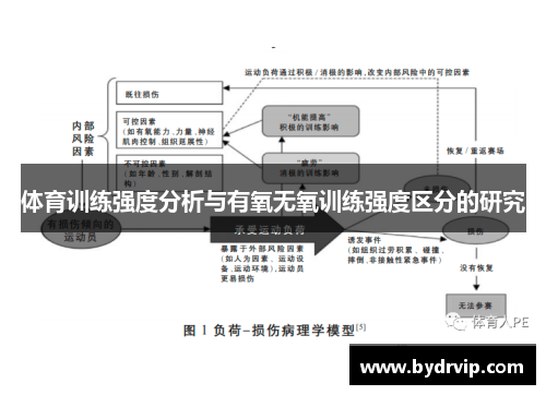 体育训练强度分析与有氧无氧训练强度区分的研究